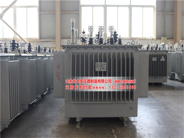 陇南S22-4000KVA油浸式变压器